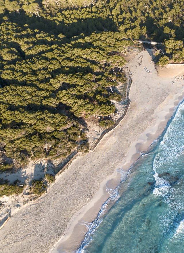 Cala Ratjada Strände Cala Agulla aus der Vogelperspektive, weiter heller Strand mit türkisblauem Meer