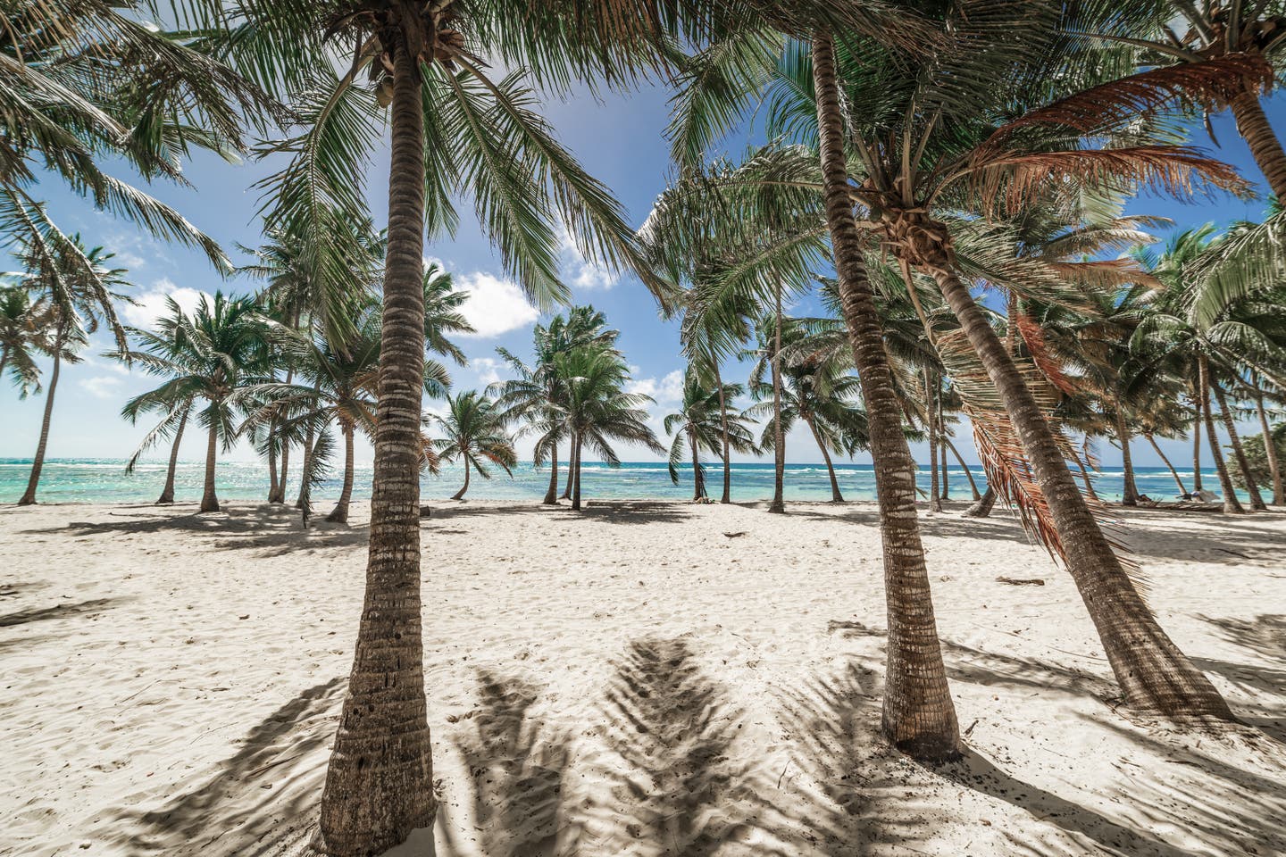 Bois Jolan Beach in der Karibik