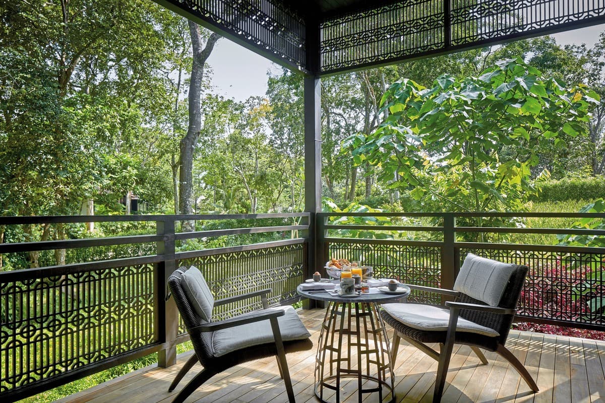 Rainforest Junior Suite