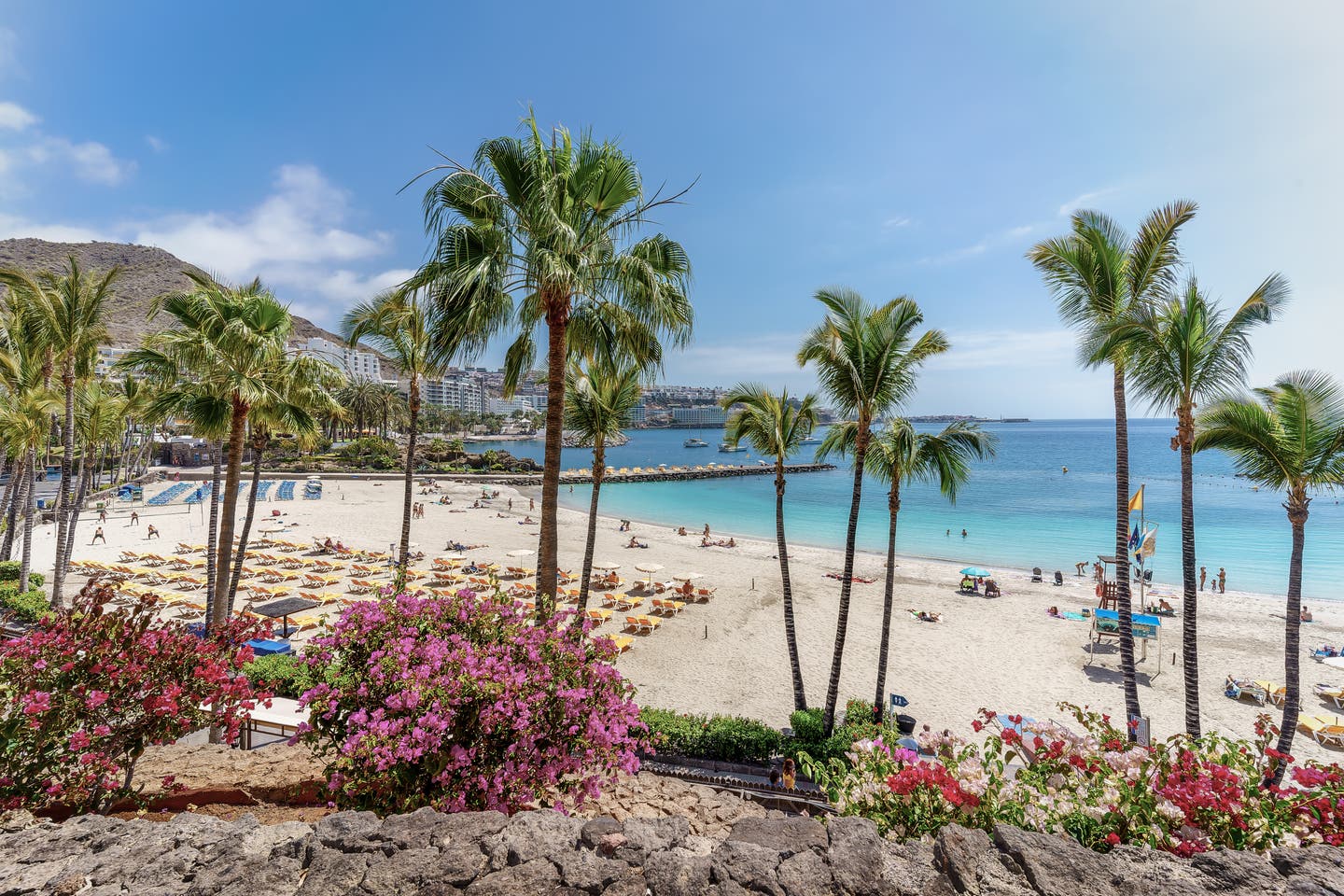 Gran Canaria Strände - Palmen am Playa del Anfi 