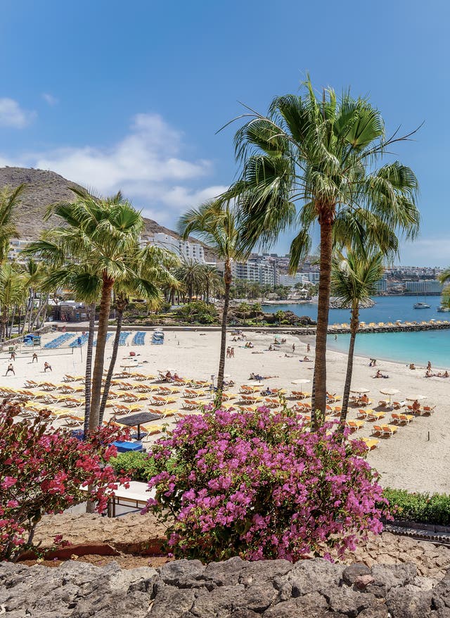 Überwintern auf Gran Canaria Strand auf Gran Canaria