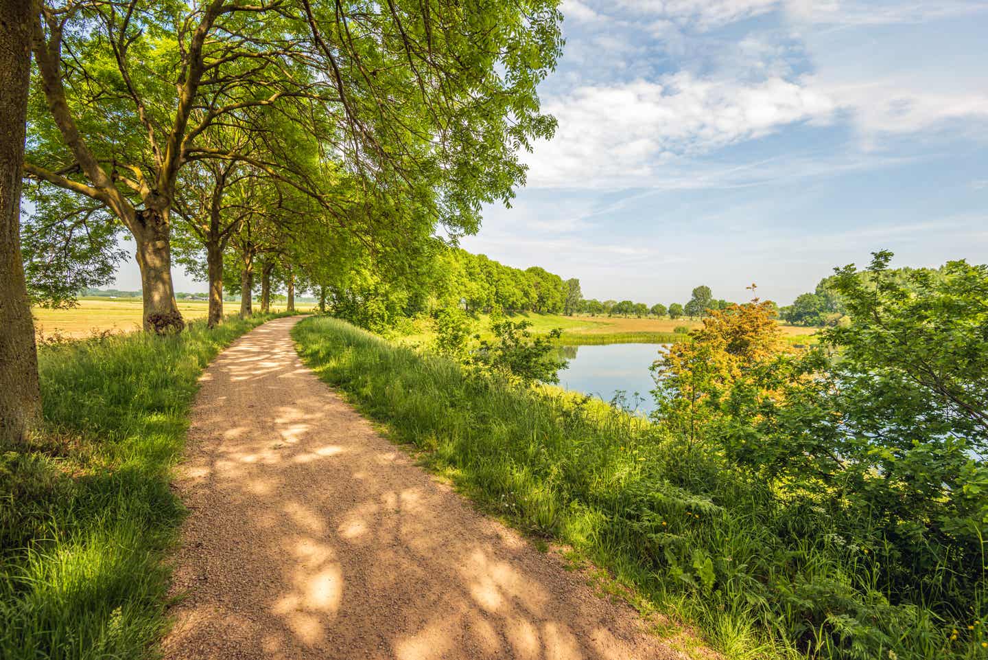 Radweg mit Landschaft in Nordbrabant