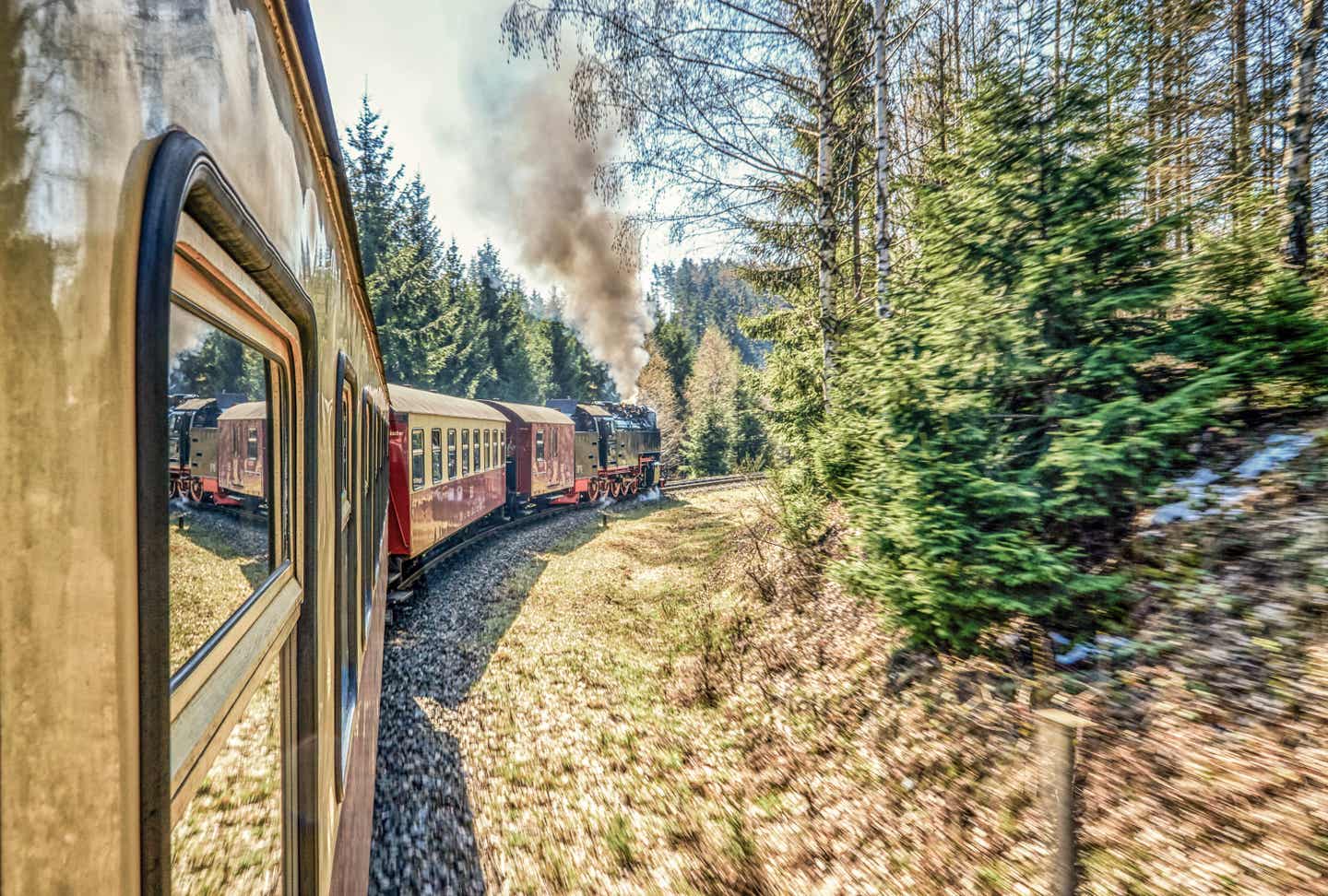 Harz Urlaub mit DERTOUR. Blick aus einem Waggonfenster der fahrenden Harzer Schmalspurbahn