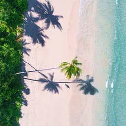 Malediven-Strand-von-oben-g-1864073761_Contentteaser.jpg