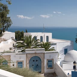 afrika-tunesien-typisches-gebaeude-maurisch-meer-palme-g-147042082.jpg