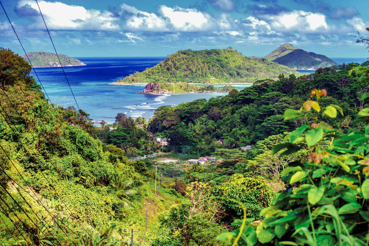 Tropischer Regenwald schmückt viele Inseln der Seychellen