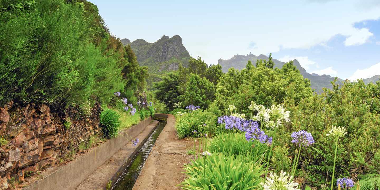 Madeira beste Reisezeit: Wanderweg entlang der Levada