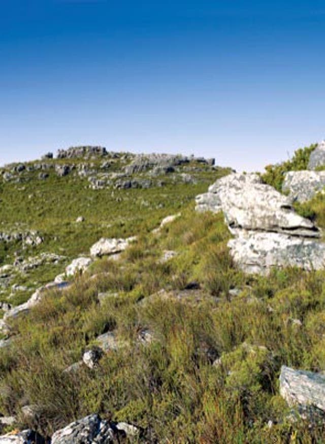 Mitarbeiter-Tipp - Kapstadt