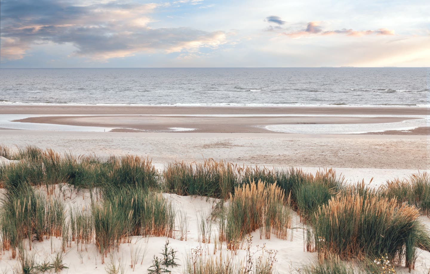 Dünenlandschaft mit Blick auf das Wattenmeer der Nordsee