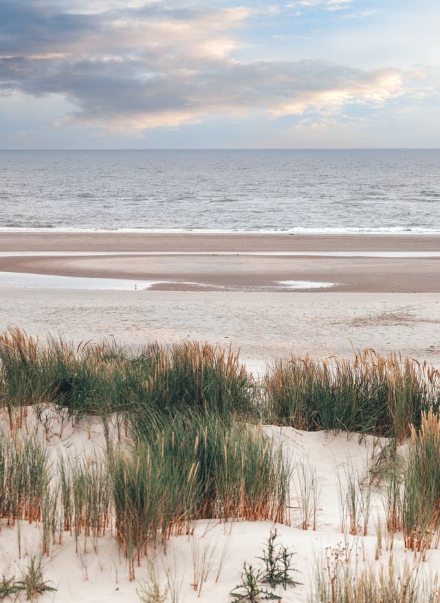 Wattenmeer Nordsee Dünenlandschaft mit Blick auf das Wattenmeer der Nordsee