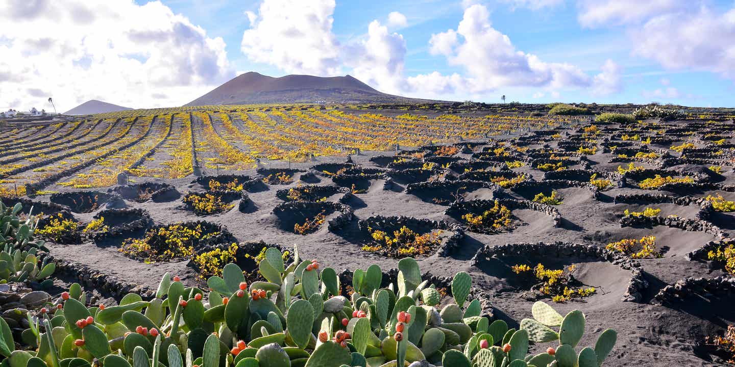 Lanzarotes Felsenlandschaft, in der Weinanbau betrieben wird