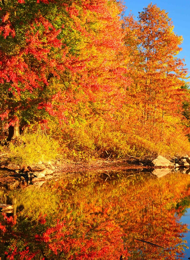 Feste im Herbst