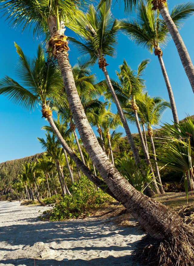 La Réunion Urlaub La Réunion – Strand Grande Anse