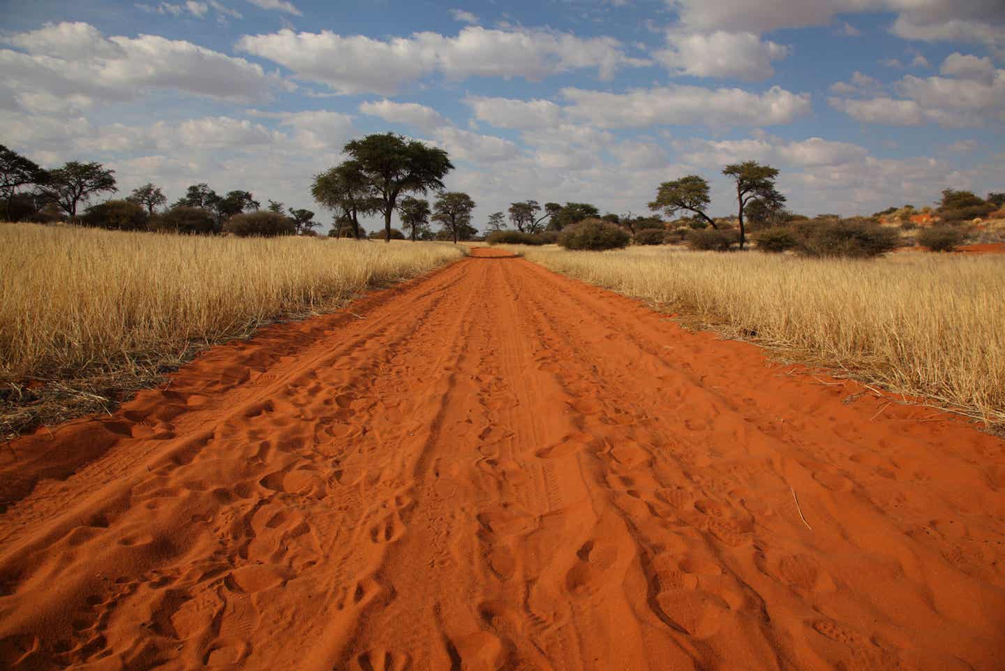 Mitarbeiter-Tipp Südafrika. Landschaft und kleines Karoo mit rotem Sand.