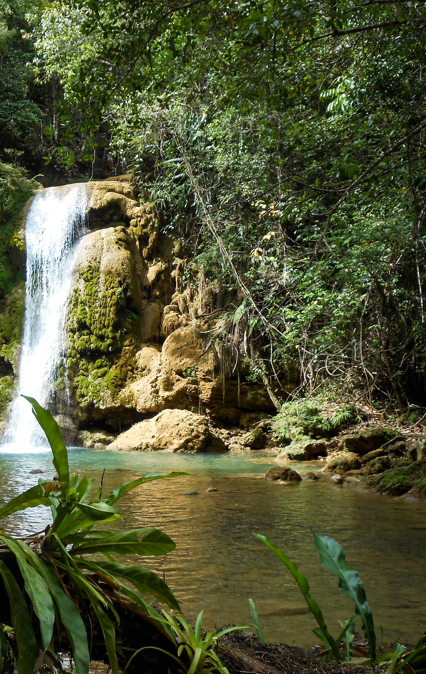 Wasserfall in Samana Peninsula in der Dominikanische Republik, Karibik