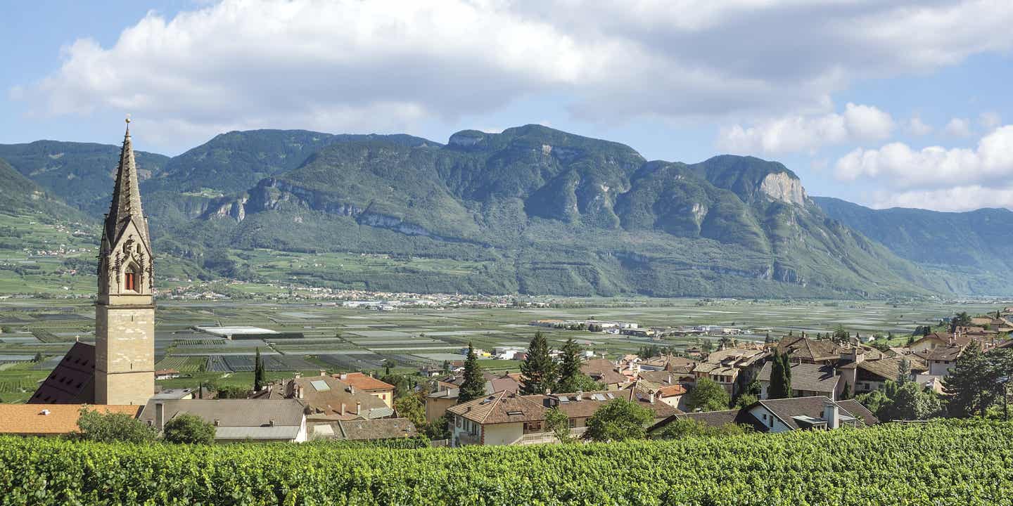 Blick auf den Ort Tramin, im Vordergrund grüne Weinreben