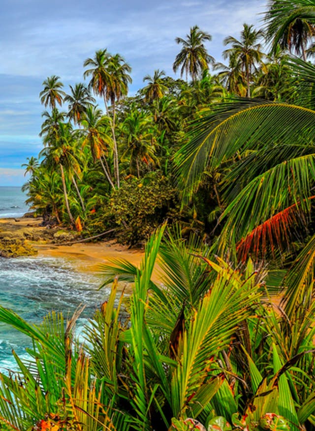 Hotel in Costa Rica buchen Manzanillo, Costa Rica