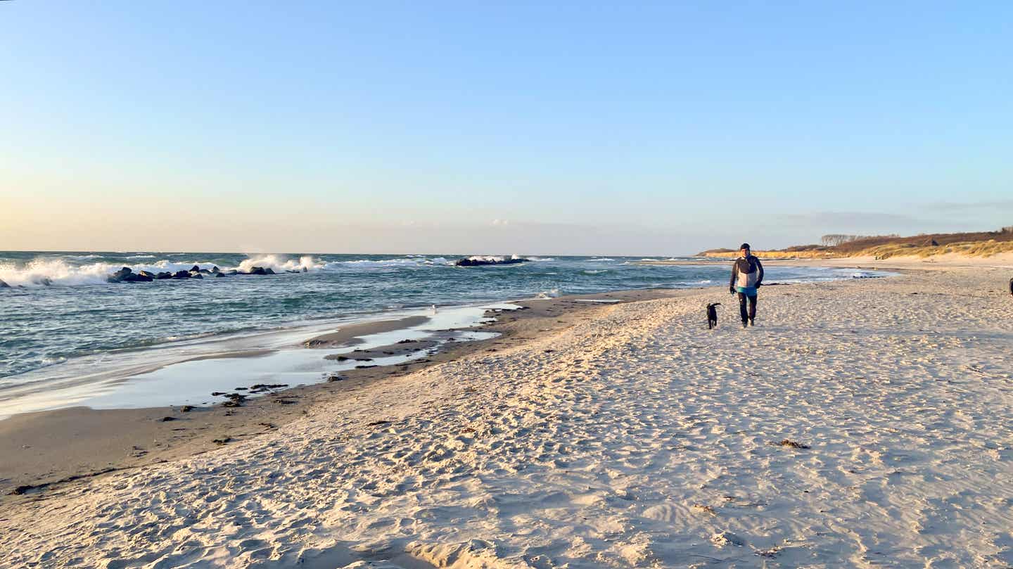 Ein Mann spaziert mit seinem Labrador am Strand der Ostsee in Wustrow – ein Highlight für einen Urlaub mit Hund an der Ostsee