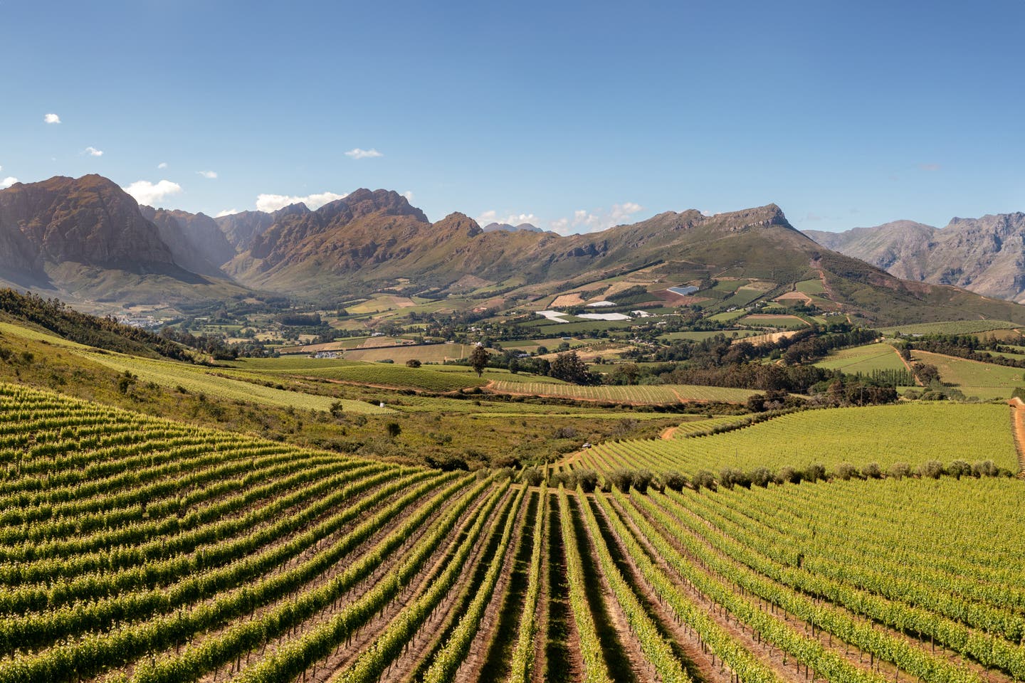 Weingüter Stellenbosch: Weinberge im Stellenbosch-Tal