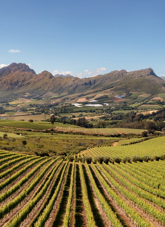 Zur Gruppenreise Südafrika Stellenbosch Weingut