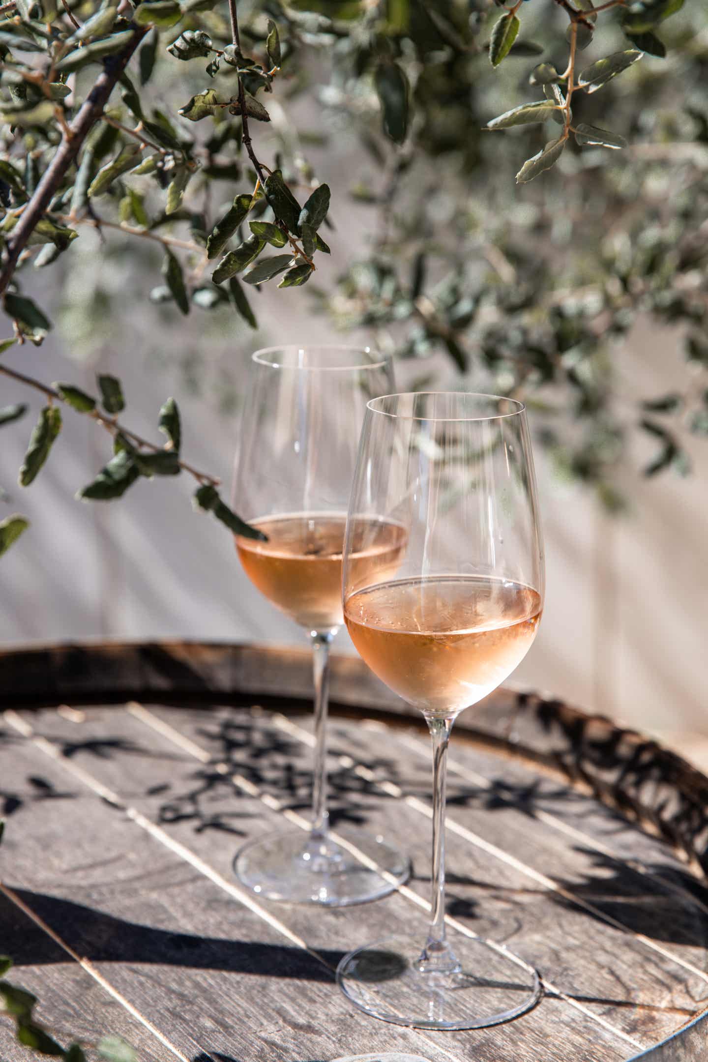Rosé in Weingläsern auf einem Tisch Rosé in Weingläsern auf einem Tisch