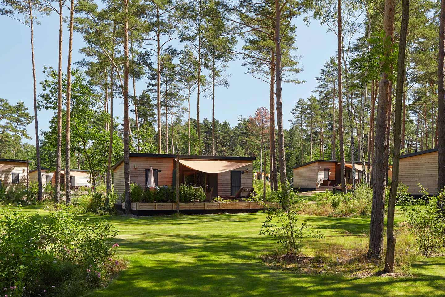 Tropical Island Holzhaus Unterkunft im Wald