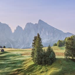 italien-dolomiten-alpe-di-siusi-g-1037335332.jpg