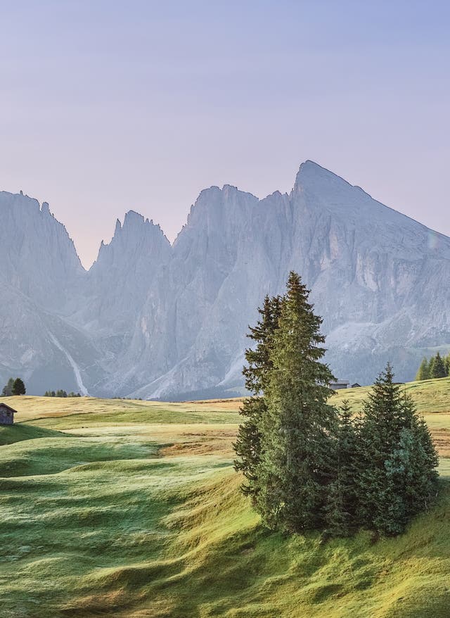 Südtirol Urlaub Südtirol Urlaub mit DERTOUR. Alpe die Siusi in Südtirol. Blick auf das Langkofel-Bergmassiv bei Sonnenaufgang
