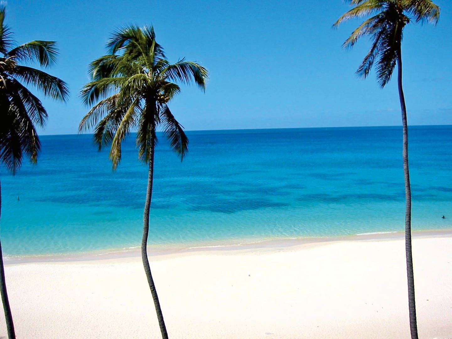 Hotels auf Grenada