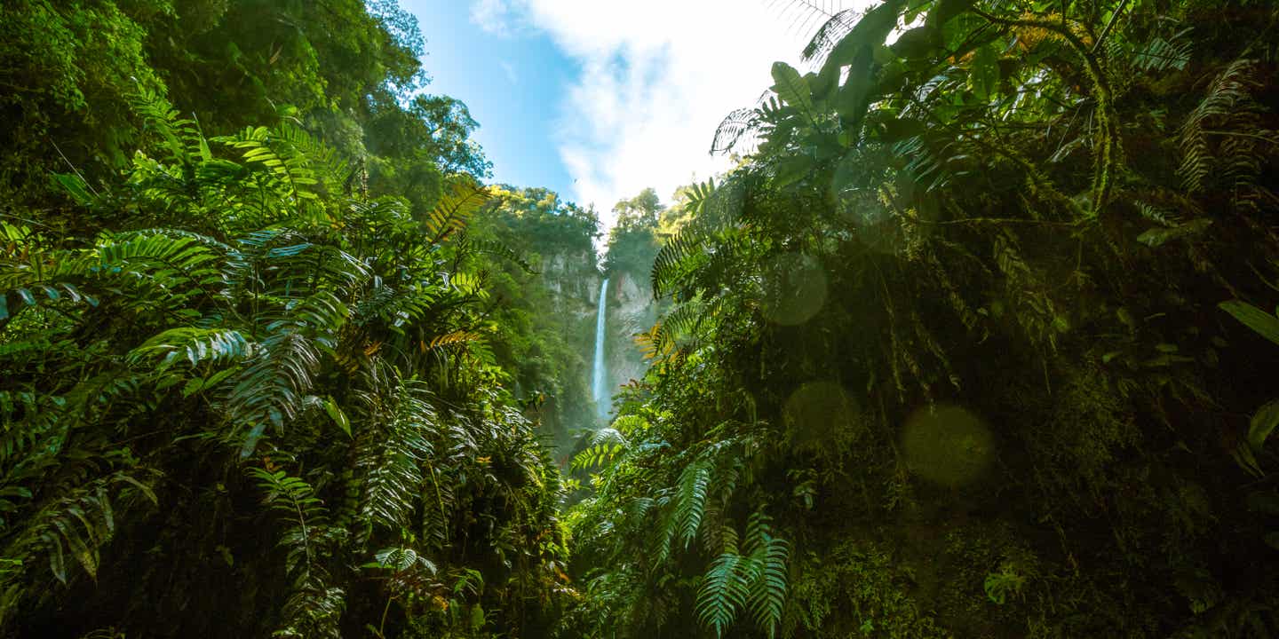 Wasserfall im dichten grünen Dschungel von Costa Rica