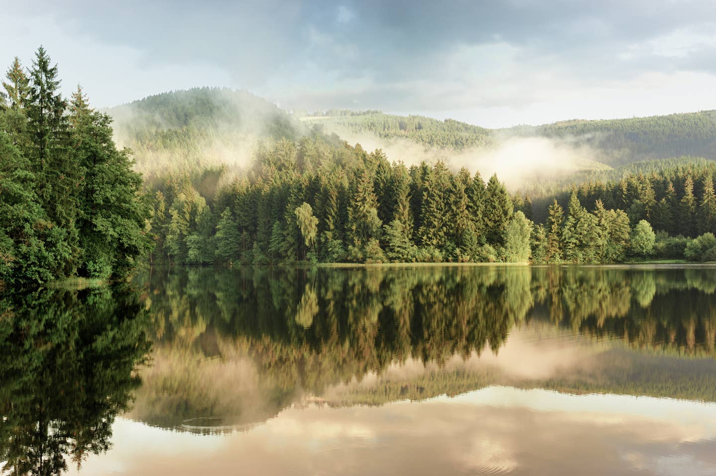 Harz Urlaub mit DERTOUR. Blick auf die Soesetalsperre und den Wald rund um den Stausee