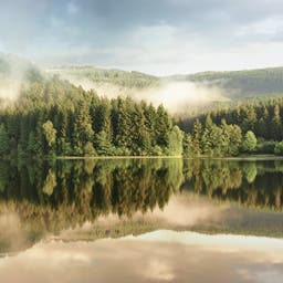 deutschland-harz-soesetalsperre-g-123171218-2.jpg