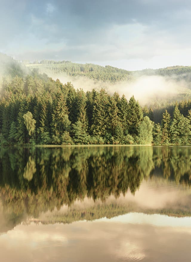 Harz Urlaub Harz Urlaub mit DERTOUR. Blick auf die Soesetalsperre und den Wald rund um den Stausee