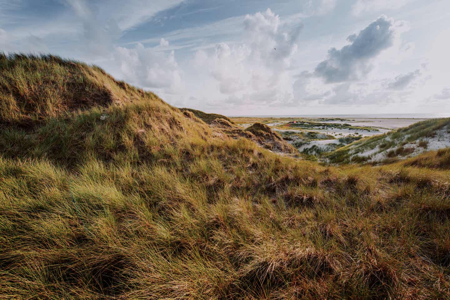 Dünen auf Amrum