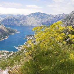 Hotels in Montenegro