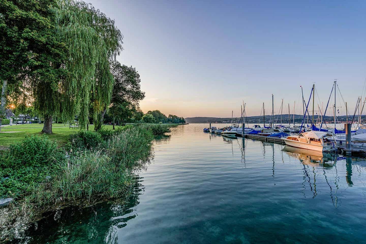 Seeufer mit kleinem Hafen und Seegelboten im Bodensee Urlaub