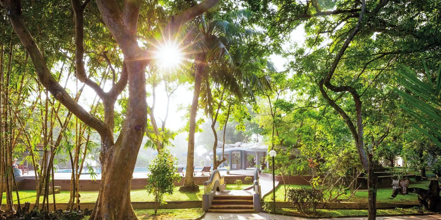 Lichtdurchfluteter, grüner Garten des Siddhalepa Ayurveda Health Resorts auf Sri Lanka