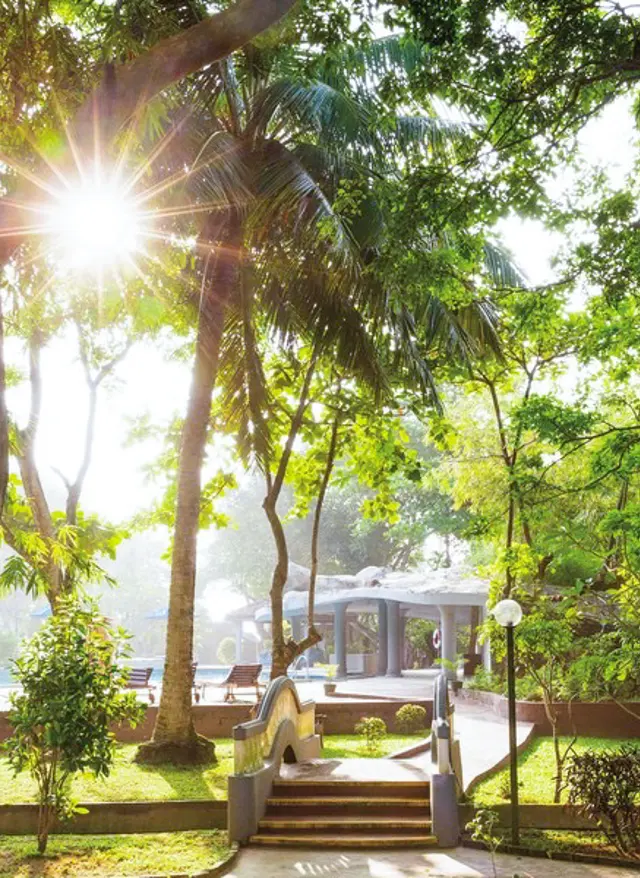 Ayurveda Hotels