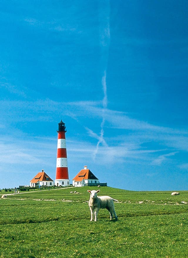 Hotels buchen Westerhever Leuchtturm mit Schafen