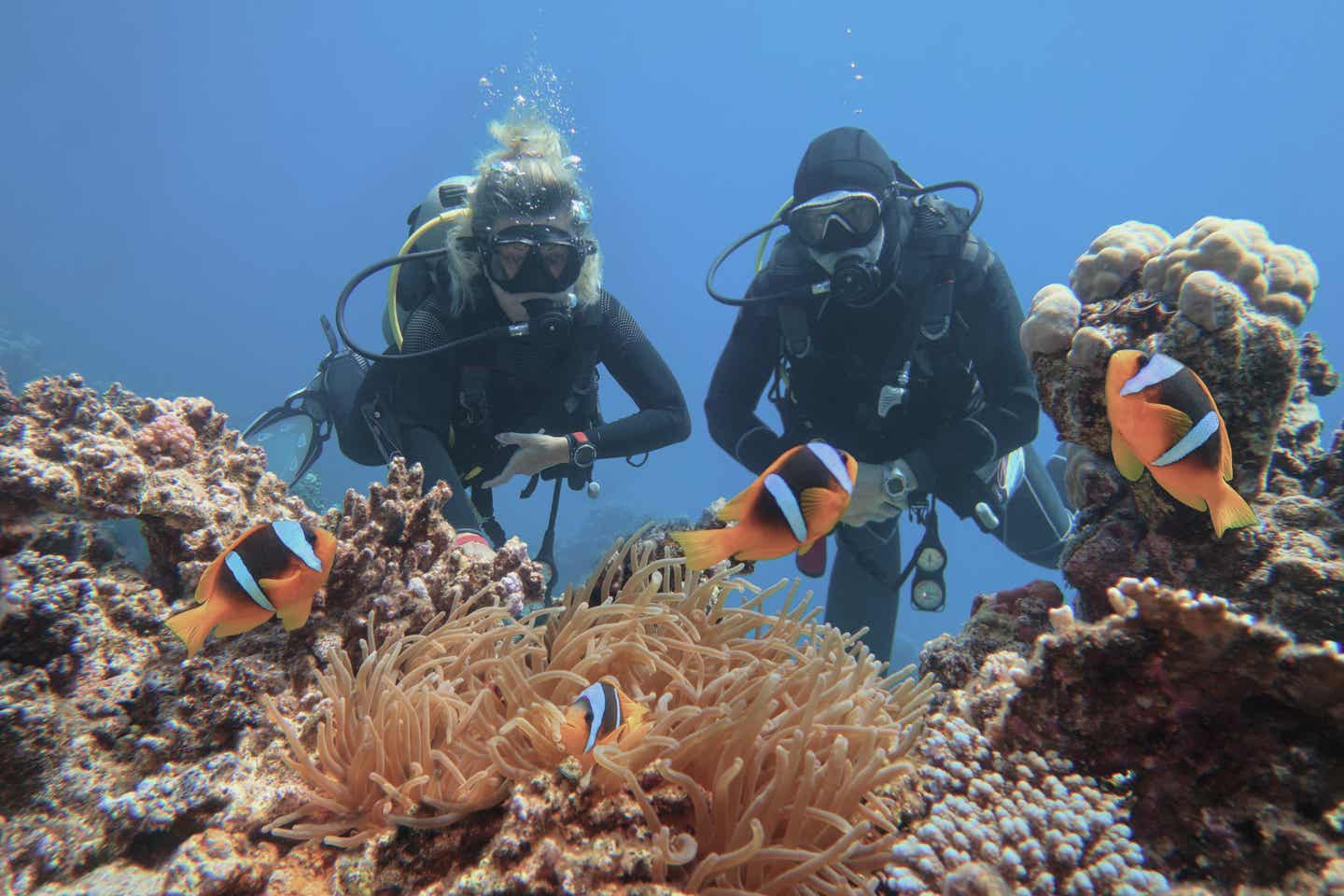 Marsa Alam Urlaub mit DERTOUR. Taucherpaar vor Riff mit Clownfischen