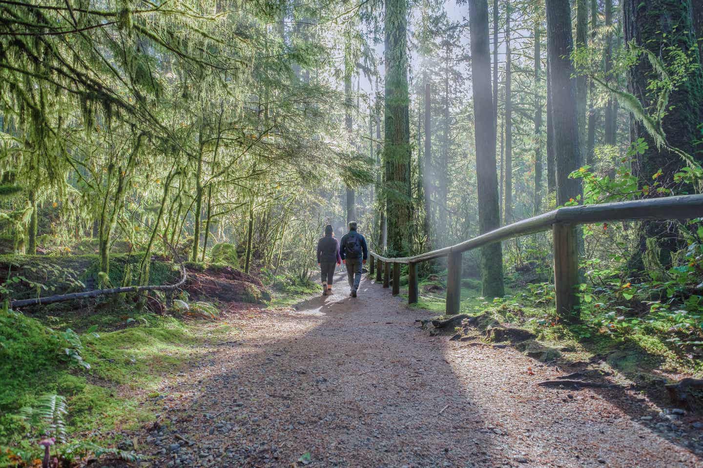 Pärchen wandert in einem Wald in Kanada
