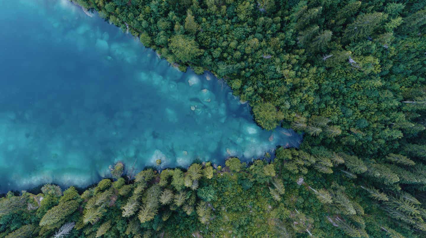 Blick auf einen Schweizer See und Wald aus der Vogelperspektive