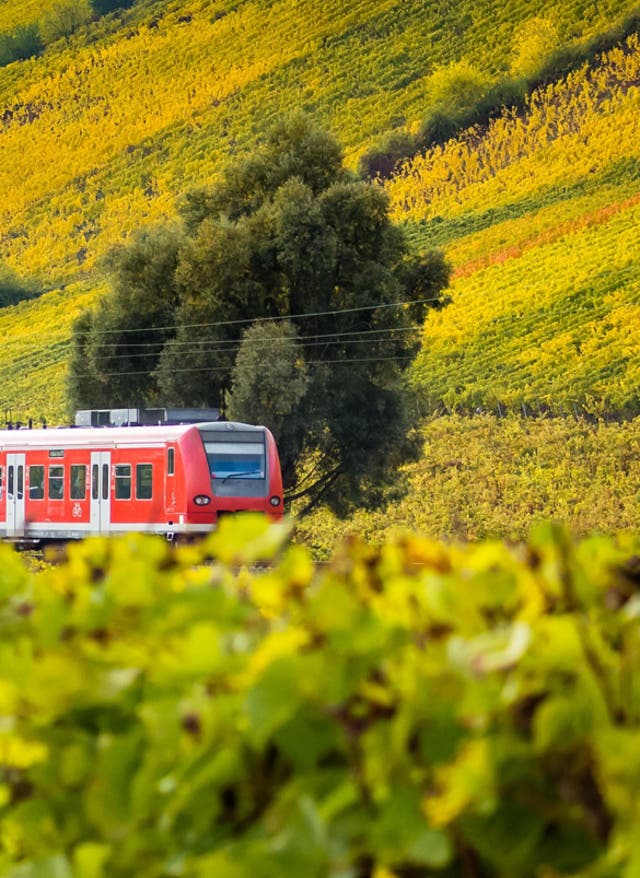 Reisen mit der Bahn Die Bahn im Grünen