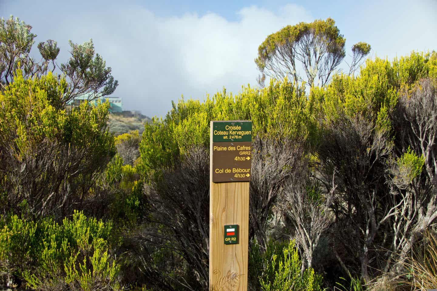 Urlaub auf La Réunion – Wanderweg auf La Réunion