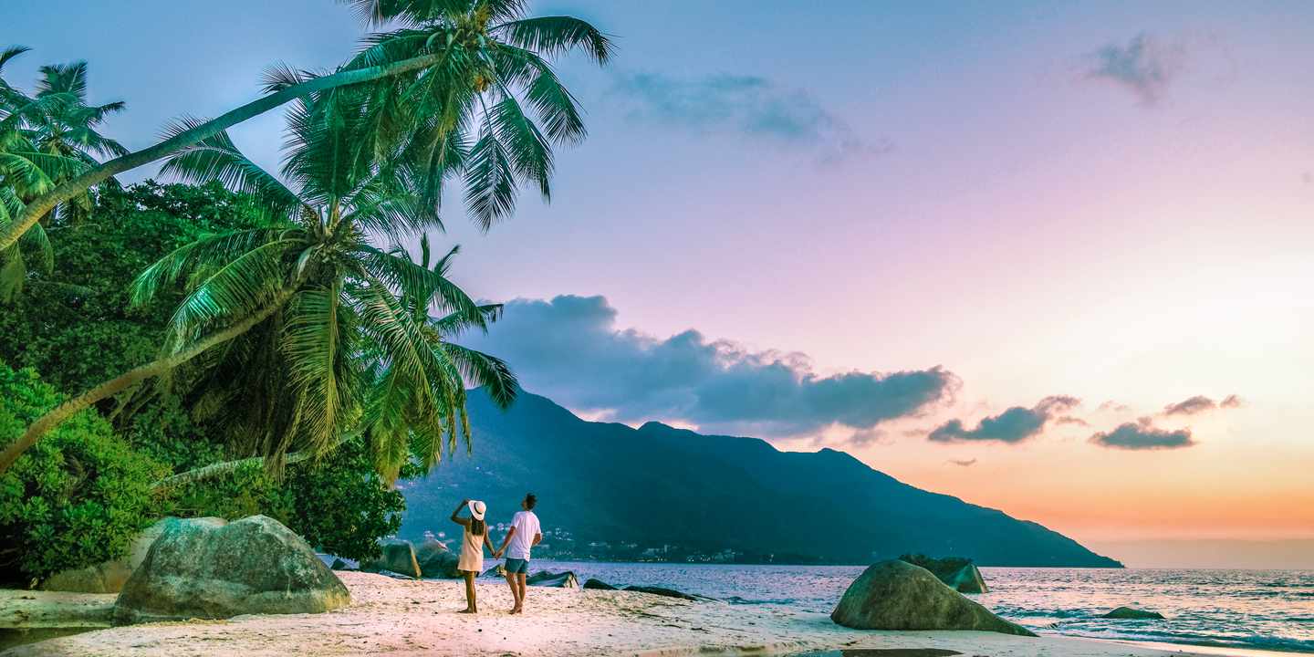 Ein Paar steht im Mahé-Urlaub am Strand und schaut sich die malerischen Palmen an