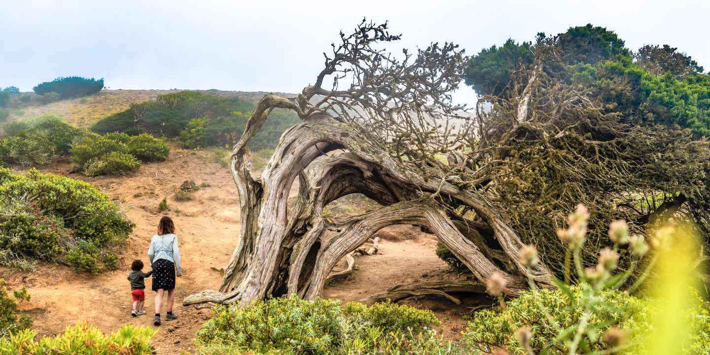 Familienurlaub auf den Kanaren: Mutter und Kind spazieren durch den Wacholderwald El Sabinar auf El Hierro