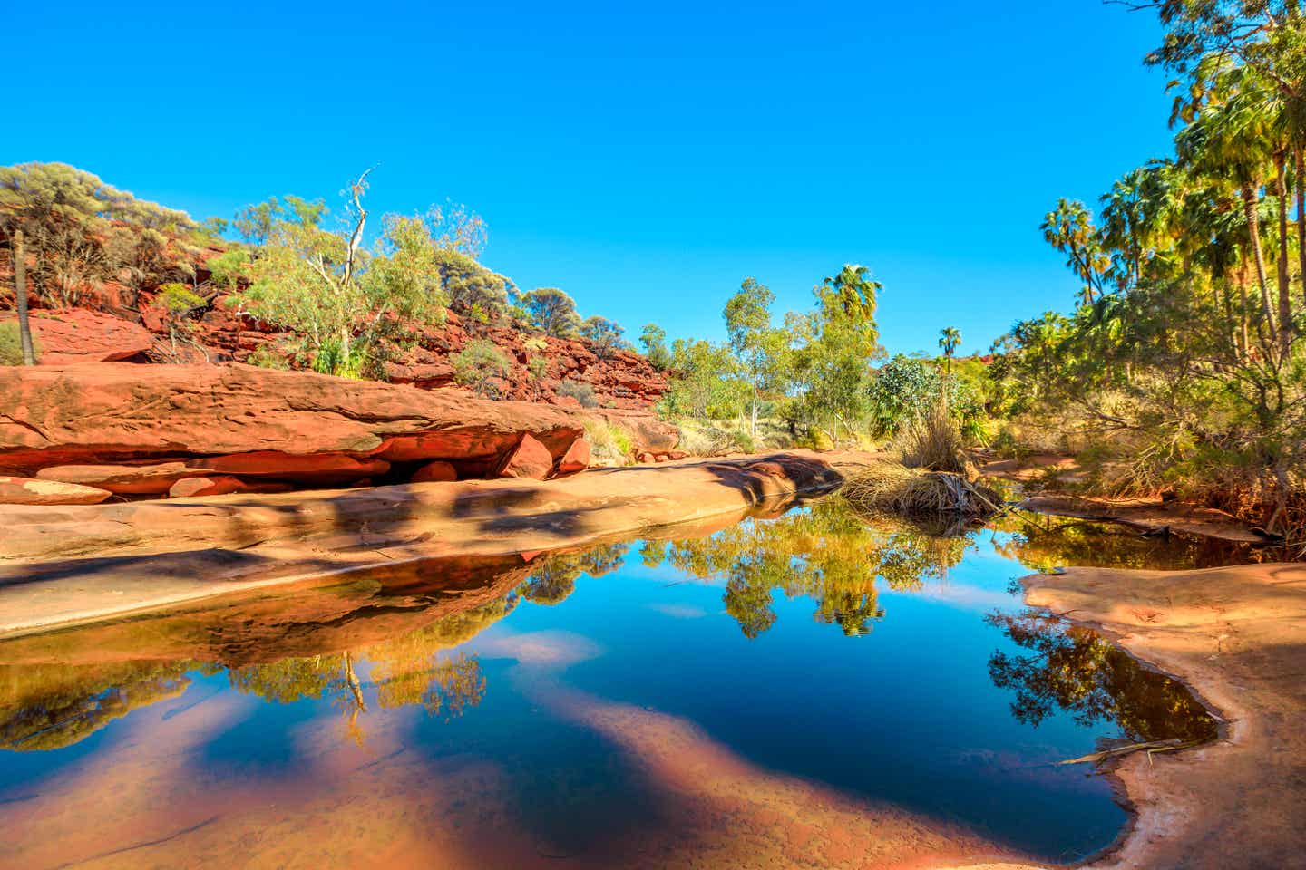 Zentralaustralien im Somemr: Finke Gorge National Park