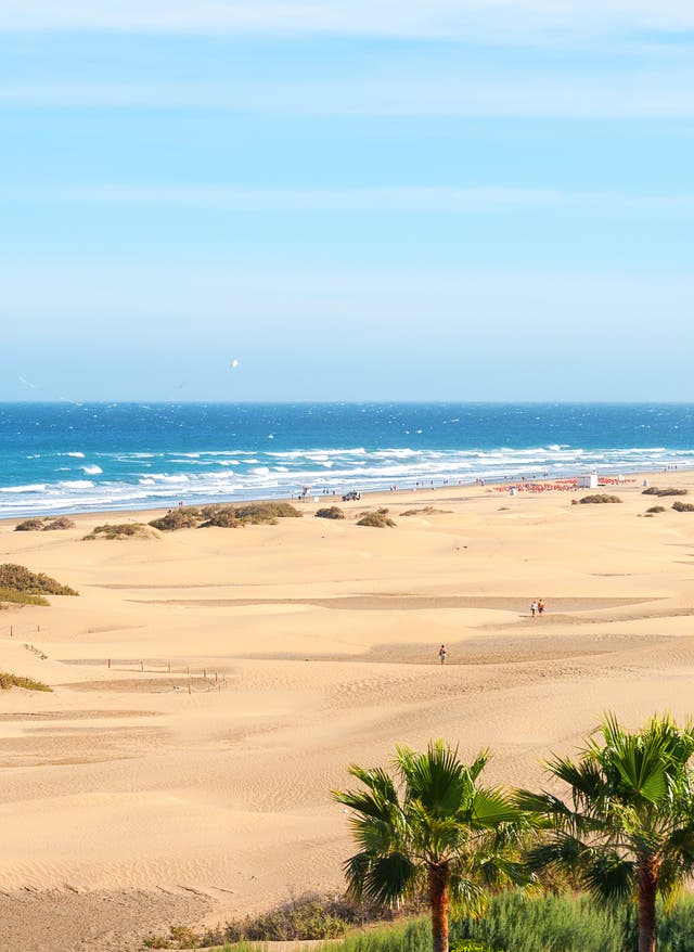 Überwintern auf Gran Canaria Die Gegend um Maspalomas ist ideal zum Überwintern