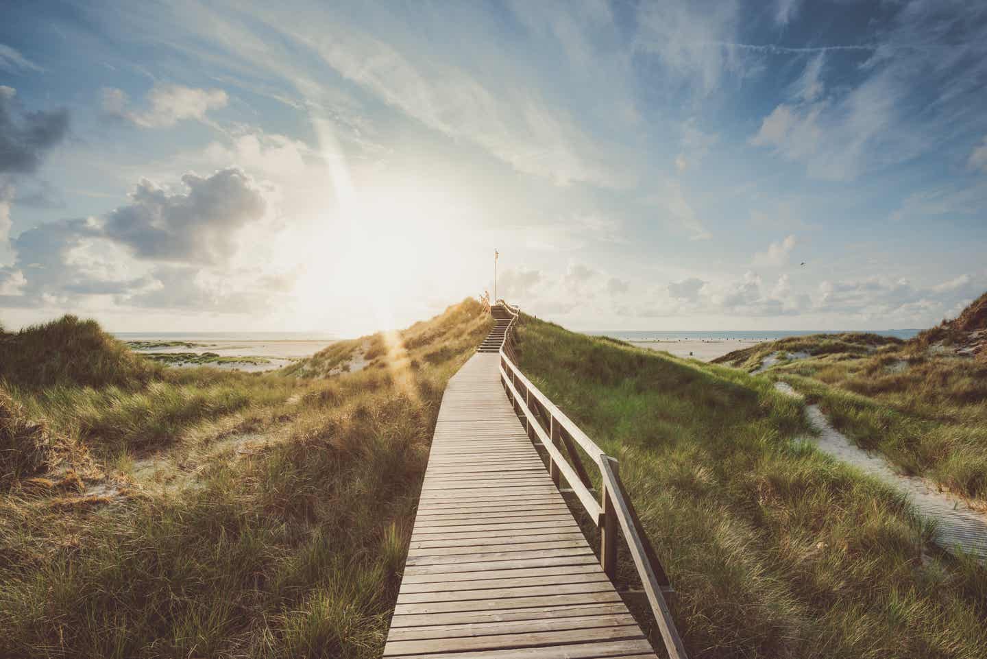 Ein Steg in der Dünenlandschaft von Amrum