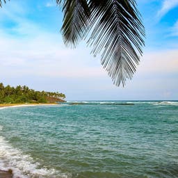 Hotels an der Ostküste von Sri Lanka